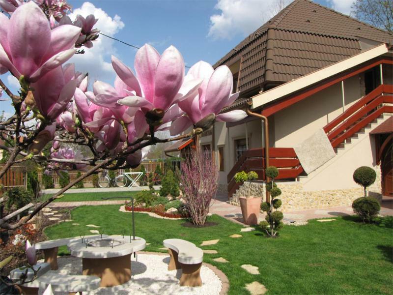Вилла Szegfu Apartman Хайдусобосло Экстерьер фото